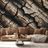 TAPETE NATÜRLICHE HOLZTEXTUR - TAPETEN IN HOLZOPTIK - TAPETEN
