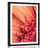 POSTER – GERBERA ARANCIONE CON GOCCE D'ACQUA - FIORI - POSTER