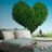 SELF ADHESIVE WALLPAPER HEART-SHAPED TREE - SELF-ADHESIVE WALLPAPERS - WALLPAPERS