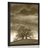 POSTER SEPIA LONELY TREES - BLACK AND WHITE - POSTERS