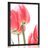 POSTER ROTE FELDTULPEN - BLUMEN - POSTER