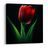 OBRAZ KVĚT TULIPÁNU V NOCI - OBRAZY TULIPÁN - OBRAZY