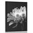 POSTER BLACK AND WHITE DAISY - BLACK AND WHITE - POSTERS