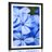 POSTER WITH MOUNT WILD BLUE FLOWERS - FLOWERS - POSTERS