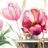 SELF ADHESIVE WALLPAPER TULIPS IN AN INTERESTING DESIGN - SELF-ADHESIVE WALLPAPERS - WALLPAPERS