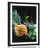 POSTER – FRUTTA E VERDURA BIOLOGICA - CON MOTIVO CUCINA - POSTER