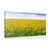 CANVAS PRINT YELLOW FIELD - PICTURES OF NATURE AND LANDSCAPE - PICTURES