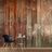 Samolepící tapeta stará dřevěná stěna - Forest Cottage