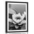 AFFICHE AVEC PASSE-PARTOUT – FLEUR DE LOTUS DANS LE LAC EN NOIR ET BLANC - NOIR ET BLANC - AFFICHES