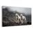 OBRAZ VLCI V MLHAVÝCH HORÁCH - OBRAZY PSI - OBRAZY
