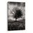 QUADRO SU TELA – ALBERO DELLA VITA E STORMO DI UCCELLI - QUADRI HALLOWEEN E HORROR - STAMPE E QUADRI
