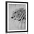 POSTER – ROSE IN VASO IN BIANCO E NERO - NERO E BIANCO - POSTER