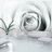 Photo wallpaper gray rose