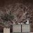 SELF ADHESIVE WALLPAPER TREE CROWN ON A WOODEN BASE - SELF-ADHESIVE WALLPAPERS - WALLPAPERS