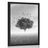 POSTER LONELY TREE ON THE MEADOW IN BLACK AND WHITE - BLACK AND WHITE - POSTERS