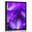Plakat cvetoči vijolični žafran
