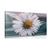 CANVAS PRINT BEAUTIFUL DAISY - PICTURES FLOWERS - PICTURES