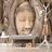 WALL MURAL BUDDHA'S SACRED FIG TREE - WALLPAPERS FENG SHUI - WALLPAPERS