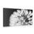 CANVAS PRINT DANDELION IN BLACK AND WHITE - BLACK AND WHITE PICTURES - PICTURES