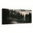 OBRAZ RANNÍ OPAR NAD LESEM - PICTURES FOREST - PICTURES