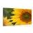 CANVAS PRINT YELLOW SUNFLOWER - PICTURES FLOWERS - PICTURES