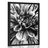 POSTER EXOTIC DAHLIA IN BLACK AND WHITE - BLACK AND WHITE - POSTERS