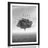 POSTER WITH MOUNT LONELY TREE ON THE MEADOW IN BLACK AND WHITE - BLACK AND WHITE - POSTERS