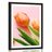 Plakat s paspartujem elegantni tulipan