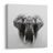 OBRAZ SLONÍ SÍLA A KLID - OBRAZY SLONI - OBRAZY