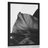 POSTER – FOGLIA DI MONSTERA AFFASCINANTE IN BIANCO E NERO - FIORI - POSTER