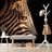 CARTA DA PARATI – RITRATTO DI ZEBRA - CARTA DA PARATI ANIMALI - CARTA DA PARATI