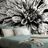 Fototapet autoadeziv dalie exotică în alb-negru