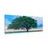 CANVAS PRINT LONELY OAK - PICTURES OF NATURE AND LANDSCAPE - PICTURES