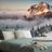 SELF ADHESIVE WALL MURAL ROZSUTEC IN A BLANKET OF SNOW - SELF-ADHESIVE WALLPAPERS - WALLPAPERS