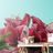 Selbstklebende Fototapete Exotische Amaryllis auf türkisfarbenem Hintergrund