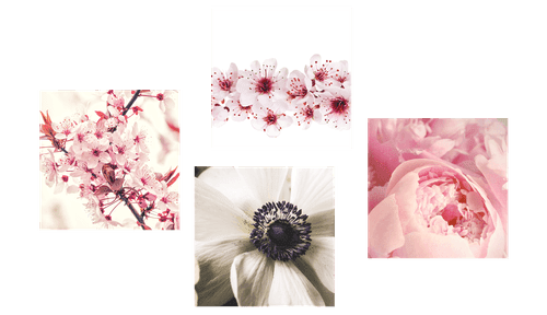 CANVAS PRINT SET DELICACY OF FLOWERS - SET OF PICTURES - PICTURES