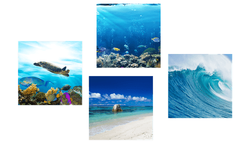 BILDER-SET MEERESWELT - BILDERSETS - BILDER