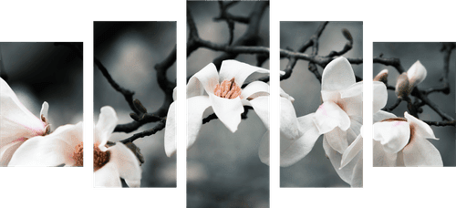 5-PIECE CANVAS PRINT AWAKENING MAGNOLIA - PICTURES FLOWERS - PICTURES