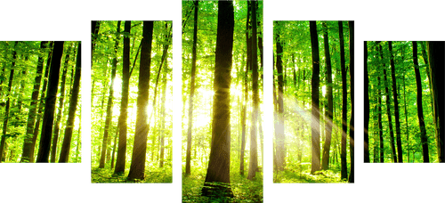 5-PIECE CANVAS PRINT LUSH GREEN FOREST - PICTURES OF NATURE AND LANDSCAPE - PICTURES