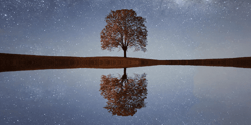 CANVAS PRINT STARRY SKY ABOVE A LONELY TREE - PICTURES OF NATURE AND LANDSCAPE - PICTURES