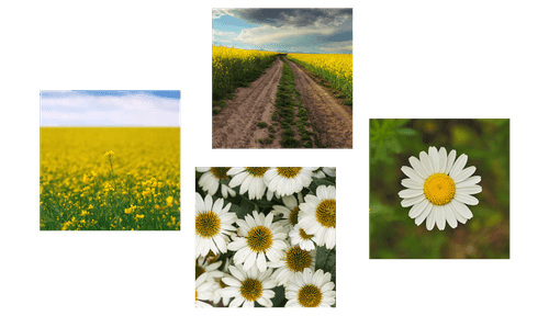 CANVAS PRINT SET MEADOW FULL OF FLOWERS - SET OF PICTURES - PICTURES