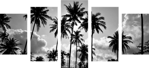 5-PIECE CANVAS PRINT COCONUT TREES ON A BEACH IN BLACK AND WHITE - BLACK AND WHITE PICTURES - PICTURES