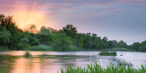 WANDBILD SONNENAUFGANG AM FLUSS - BILDER VON NATUR UND LANDSCHAFT - BILDER