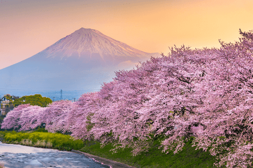 QUADRO MONTE FUJI IN GIAPPONE - QUADRI DI NATURA E PAESAGGIO - QUADRI