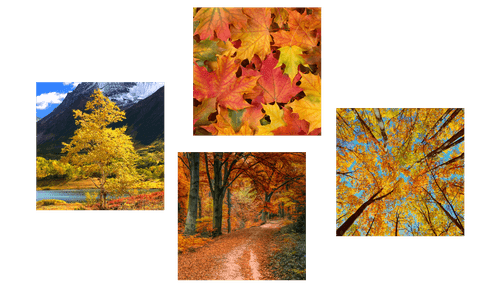 CANVAS PRINT SET AUTUMN NATURE IN BEAUTIFUL COLORS - SET OF PICTURES - PICTURES