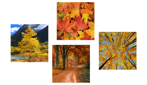 SET DI QUADRI NATURA AUTUNNALE NEI SUOI BELLISSIMI COLORI - COLLEZIONI DI QUADRI - QUADRI