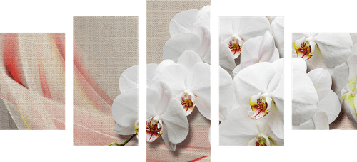 5-TEILIGES WANDBILD WEISSE ORCHIDEE AUF LEINWAND - BILDER BLUMEN - BILDER