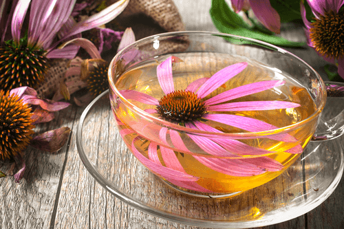TABLEAU SUR TOILE – TASSE DE THÉ AUX HERBES - IMAGES DE NOURRITURE ET DE BOISSONS - TABLEAUX