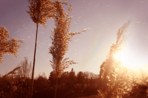 WANDBILD HERBSTLICHE STIMMUNG - BILDER VON SONNENAUFGANG UND SONNENUNTERGANG - BILDER