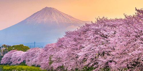 CANVAS PRINT BEAUTIFUL JAPAN - PICTURES OF NATURE AND LANDSCAPE - PICTURES